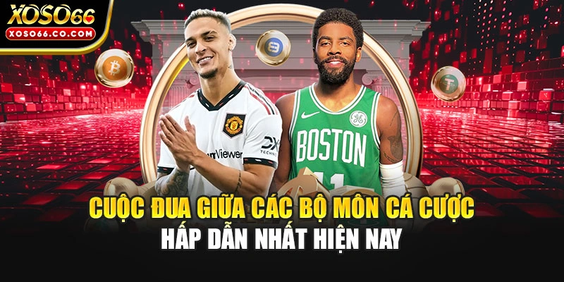 Cuộc đua giữa các bộ môn cá cược hấp dẫn nhất hiện nay
