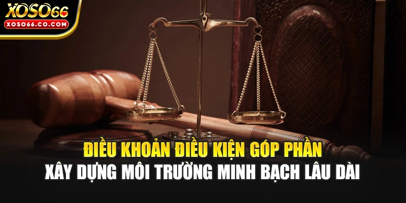 Điều khoản điều kiện góp phần xây dựng môi trường minh bạch lâu dài