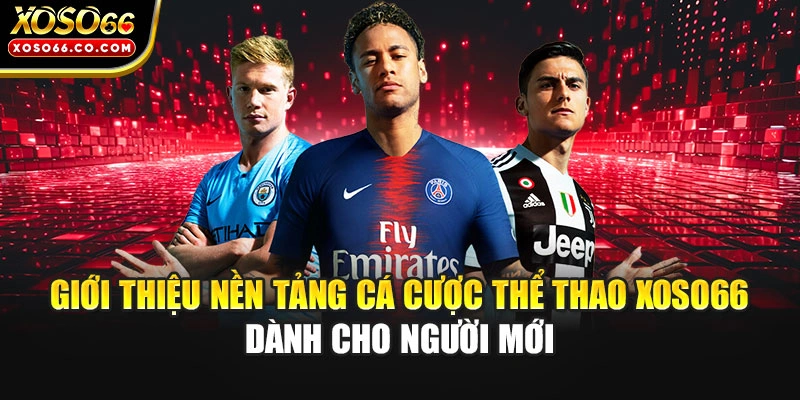 Giới thiệu nền tảng cá cược thể thao XOSO66 dành cho người mới