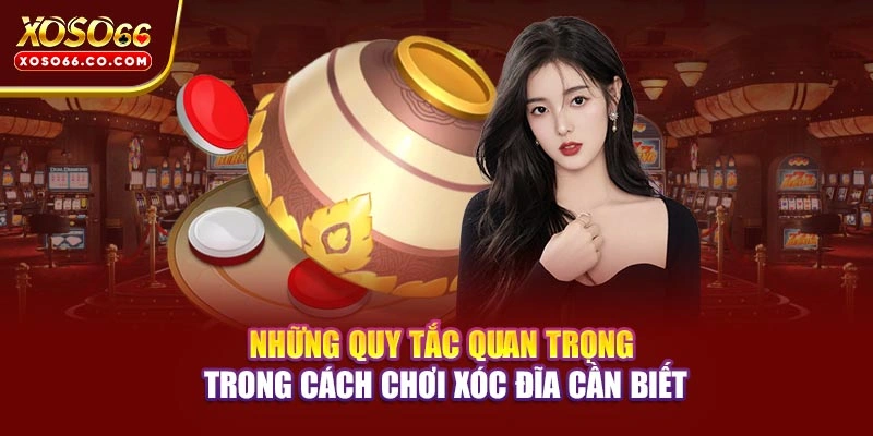 Những quy tắc quan trọng trong cách chơi xóc đĩa cần biết