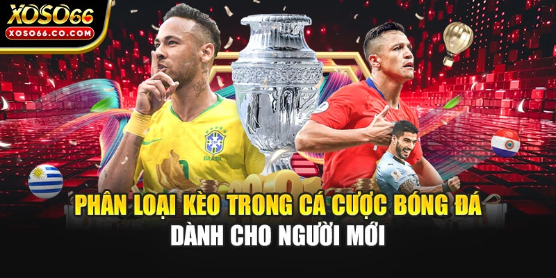 Phân loại kèo trong cá cược bóng đá dành cho người mới